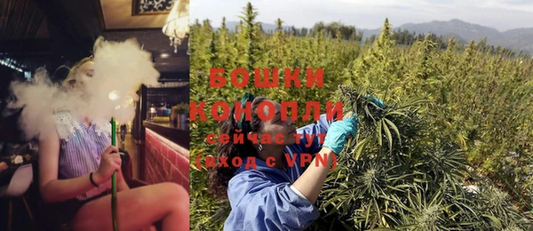 ECSTASY Липки