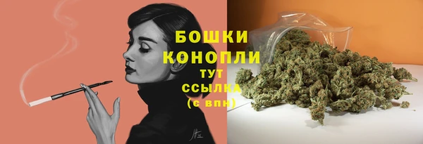 СК Лиски