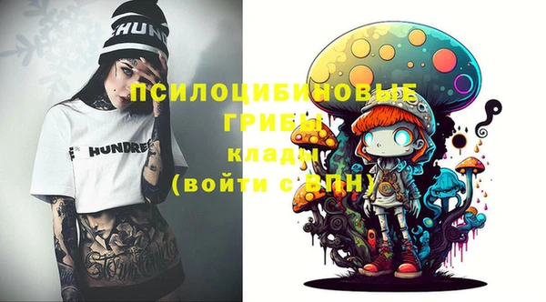 СК Лиски