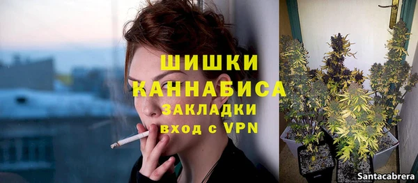 сатива Лихославль