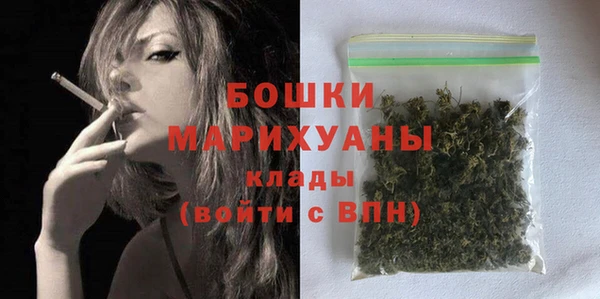 ECSTASY Липки