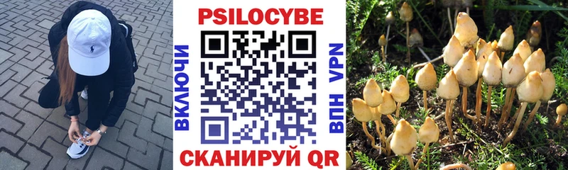 Галлюциногенные грибы прущие грибы  даркнет сайт  Камызяк 